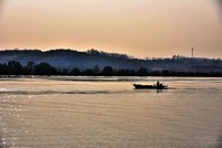 随手拍,淮河之上,随园一景,校园一隅。