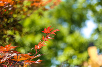 6D记录生活点滴