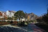 逛公园