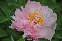 好片与大片只是PS之差