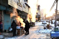 上班路上随笔(2)雪后晴天。。。。。。小白的随影