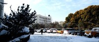 雪后初晴,2018年的第二场雪。