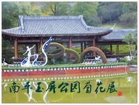 家乡的风景------南平玉屏公园菊花展随拍(下)