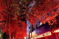 为此停留(夜景)