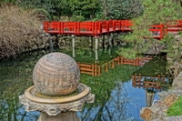 黑卡部分“照片效果”直出照片