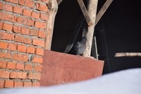 NIKON D5300   镜头尼康18-140打鸽子