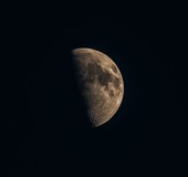 初试200-500mm镜头。