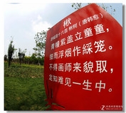 鱼眼读古诗