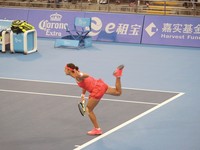 中网