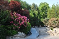 尼康D700+尼康24-70随拍直出,请各位老师给予指导,谢谢