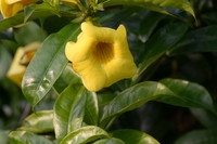 D800 + 刚入一个二手的镜85mm 1.4G