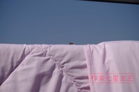作家七星龙王拍的蜜蜂,怎么在电脑看是200MM 镜头拍的?