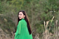 尼康AF-S 尼克尔 70-200mm f/2.8E FL ED VR  试镜