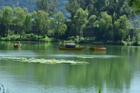 请问拍出的片子不清晰感觉有雾似的