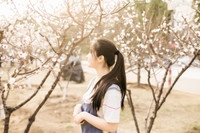 樱花下的美少女