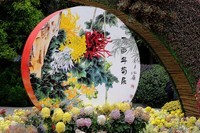 人民公园菊花