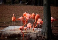 冬日里的武汉动物园