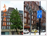 旅游随拍……华东之旅*上海南京路步行街