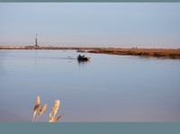 走进湿地2
