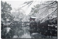 无锡寄畅园雪景