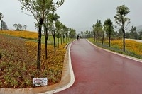 --------羊昌镇“花画小镇”随拍--------