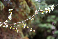 尼康D750 24-120套机,新机新手,请各位老师不吝赐教。