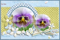 多年前拍的鬼脸花