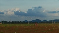 风景随拍