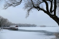 颐和园春雪