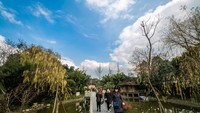 元旦拍于浣花溪公园
