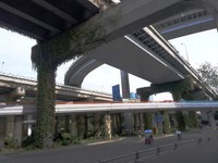 立交桥下——送别2021年