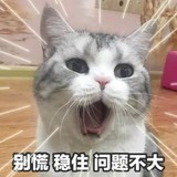 新房装修完了,还有机会装暖气片吗?