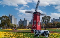 大宁公园郁金香花展杂拍