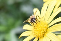 怎么发不了帖?再试一下?