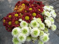 嫁个老公过日子 第03集