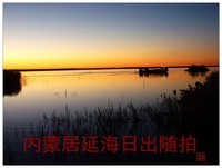 旅游随拍-----西北之旅*内蒙额济纳居延海日出(上)