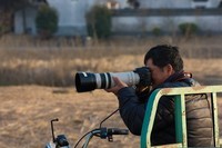 杭州湾湿地冬拍(19)