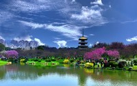 再次来武汉磨山磨园