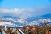 雪原\"黑森林\"(德)--遥祝师友牛年吉祥!!