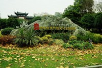 武汉印象----黄鹤楼公园前景随拍!