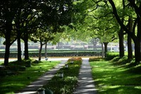 上海街头冬天的绿意浓浓