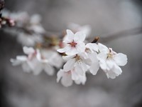 周末随拍