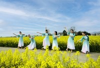 油菜花节景美人更美