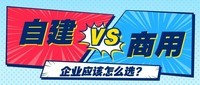 自建内网穿透 vs 商用方案,谁更划算?