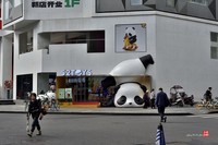 走走随拍【63】