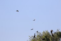 滨河公园散步随拍