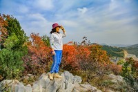 我和红叶有个约