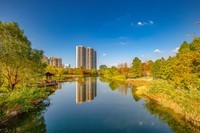 洋湖湿地公园 2