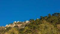 外出随拍(续387).