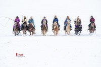 强健&靓丽的牧马人(73)